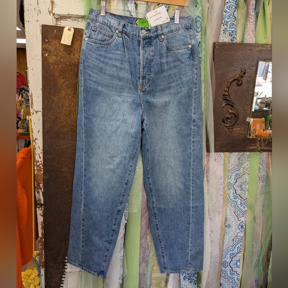NWT SR Vs. Sandrine Rose The Virgin Label Classic Blue Denim Jeans